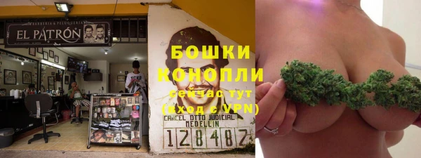 каннабис Покачи