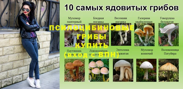каннабис Покачи