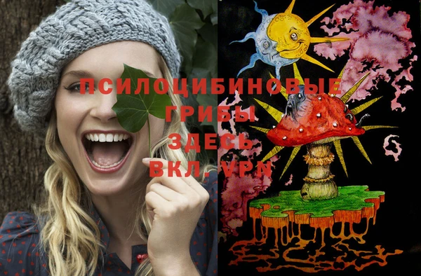 прущие крисы Абаза